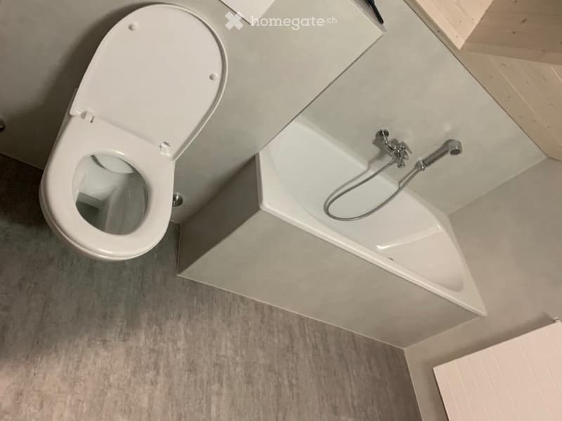 zu vermieten: 4.5-Zimmer-Wohnung, 2. OG (5)