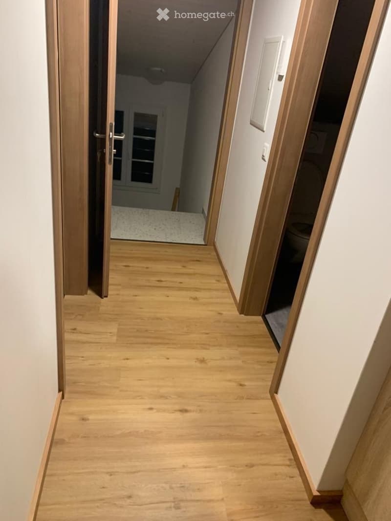 zu vermieten: 4.5-Zimmer-Wohnung, 2. OG (3)