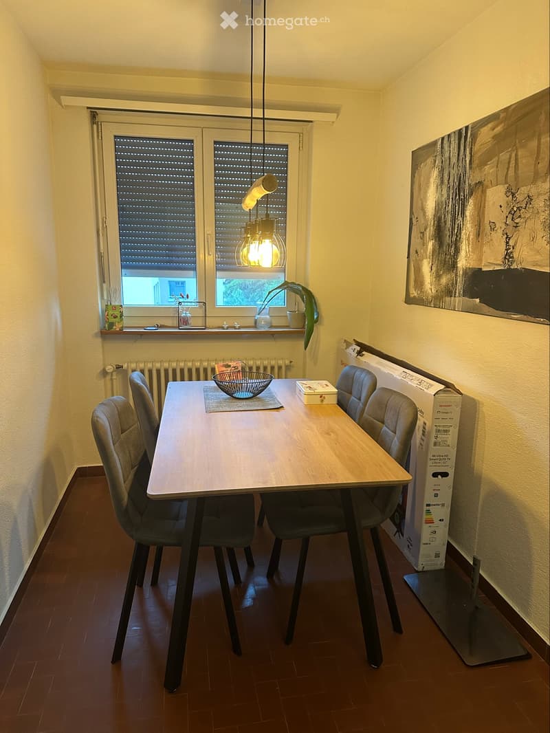Untermiete  2-1/2 Zimmer Wohnung befristet auf 6 Monate (3)