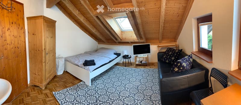 Möbliertes Zimmer (Serviced Apartment) (1)