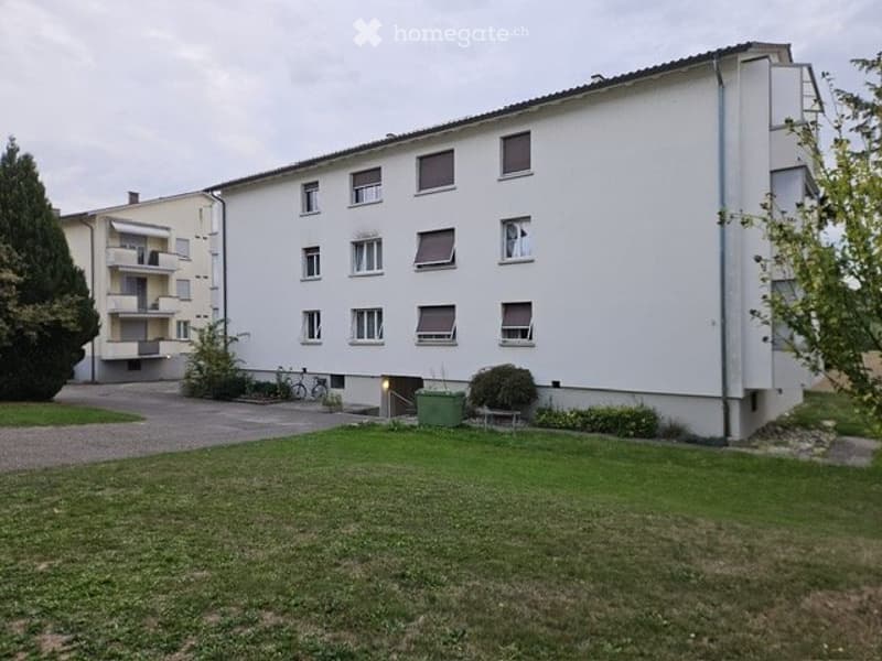 Nachmieter:in gesucht (1)