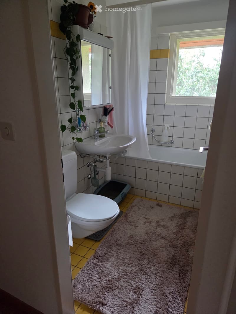 3.5 Zimmer Wohnung im 2. OG (2)