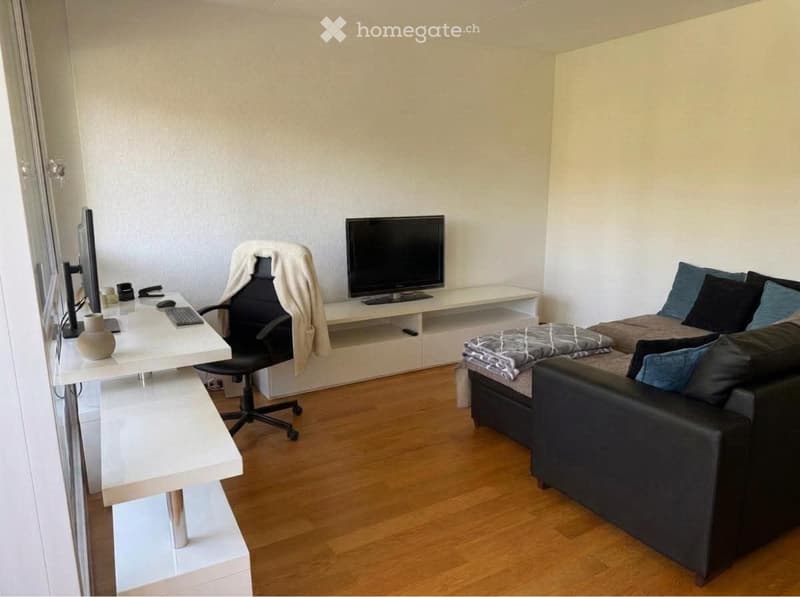 Magnifique appartement  rare (4)