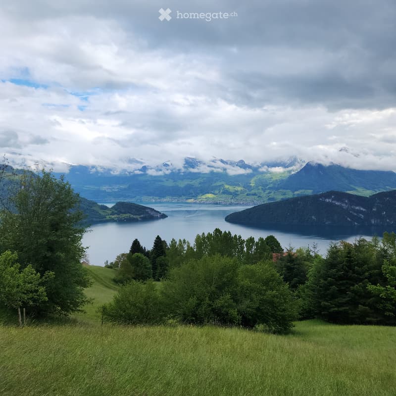 Gemütliches 1-Zimmer-Studio mit Blick ins GrüneRigi Kaltbad (4)