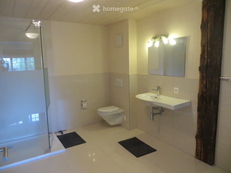 1,5 Zimmer Studio (5)