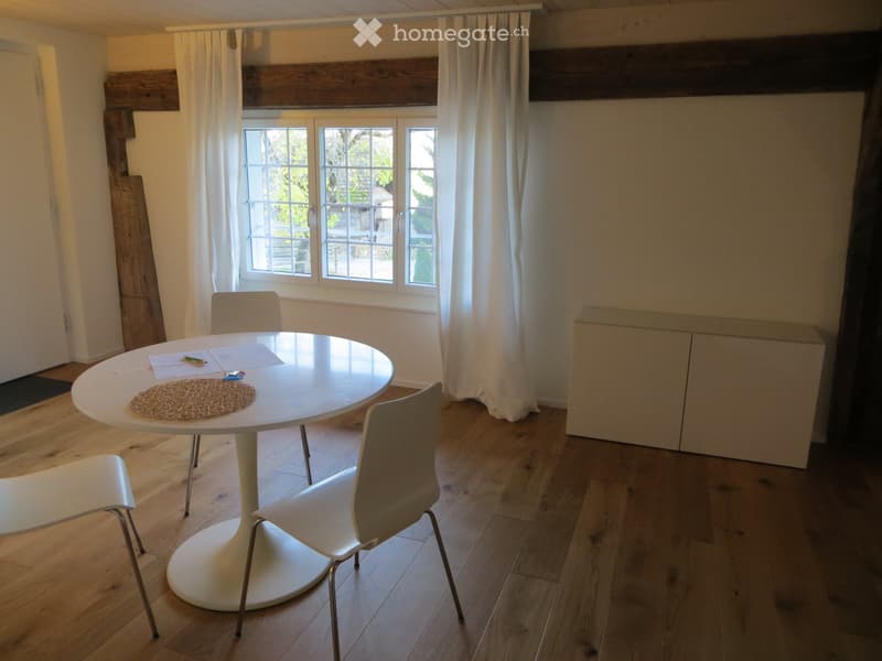 1,5 Zimmer Studio (4)