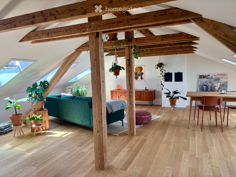 Maisonette-Wohnung in der Lorraine (bern) (1)
