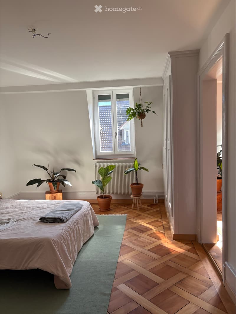 Maisonette-Wohnung in der Lorraine (bern) (2)
