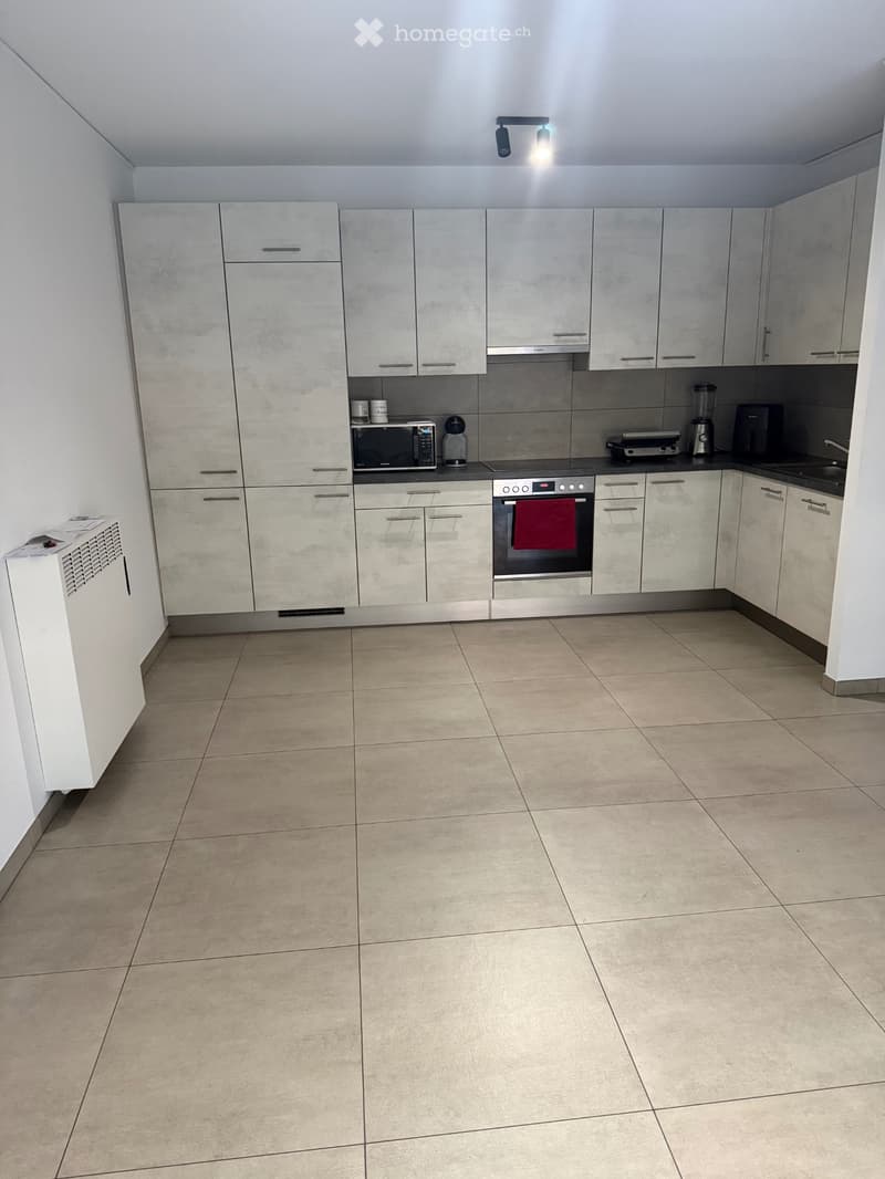 Chiasso Affittasi (1)