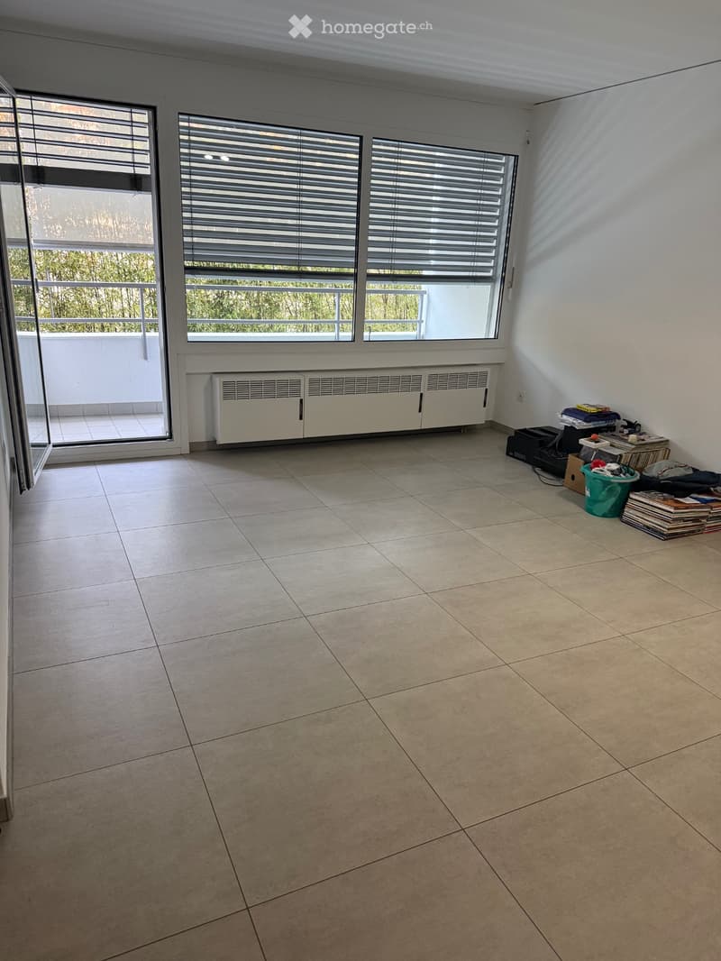 Chiasso Affittasi (2)