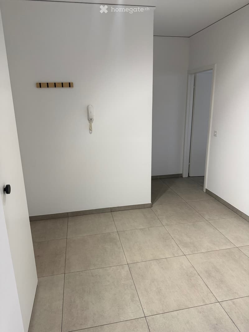 Chiasso Affittasi (3)