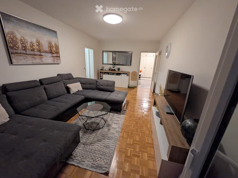 Spazioso 4.5 locali ammobiliato con due terrazze a Locarno (5)