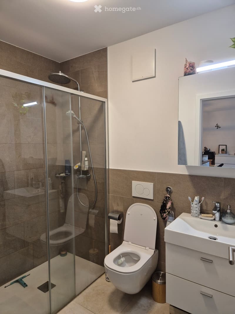 Subentrante bellissimo 2.5 a Cadempino (4)