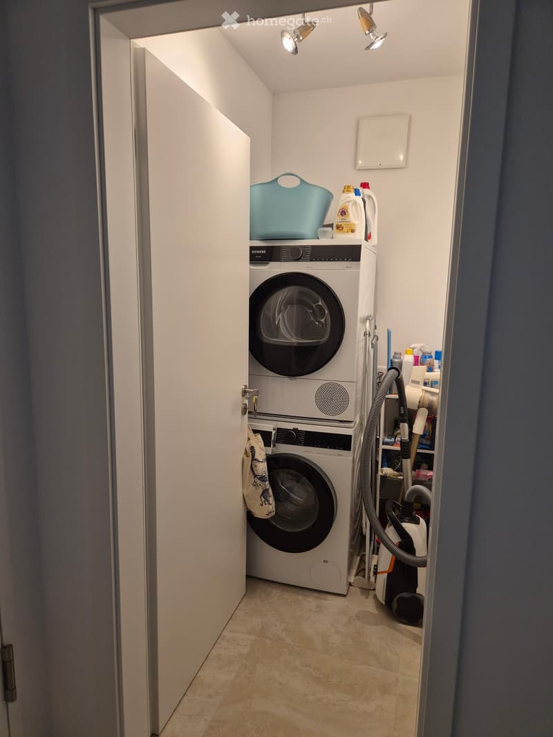 Subentrante bellissimo 2.5 a Cadempino (5)