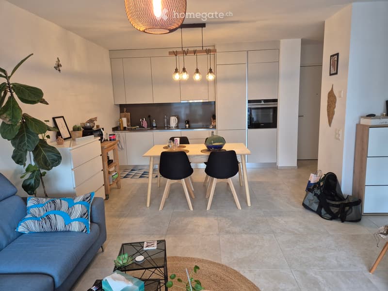 Subentrante bellissimo 2.5 a Cadempino (3)