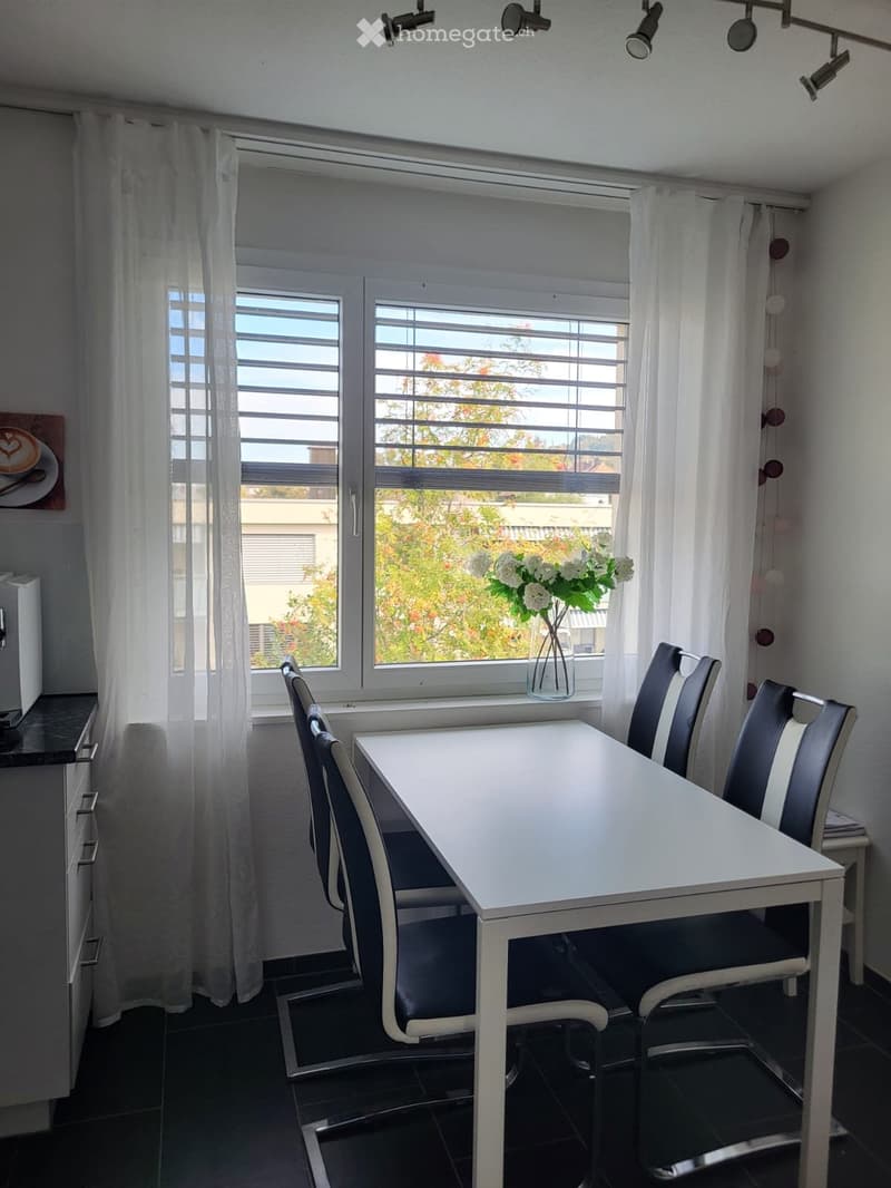 schöne 1,5-Zimmer-Wohnung zur Untermiete möbliert (5)
