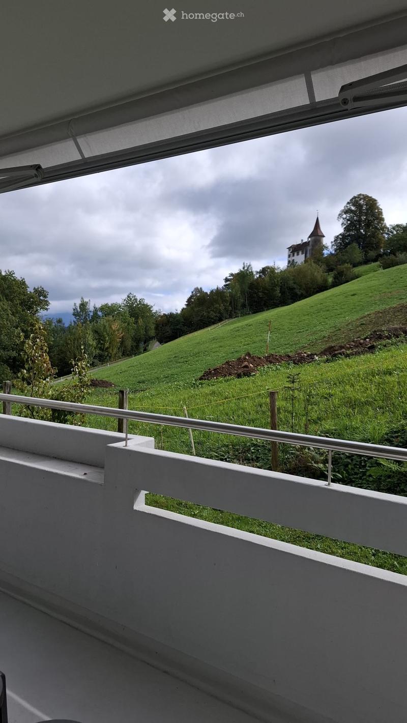 Nachmieter für 4,5 Zimmer in Kriens (4)