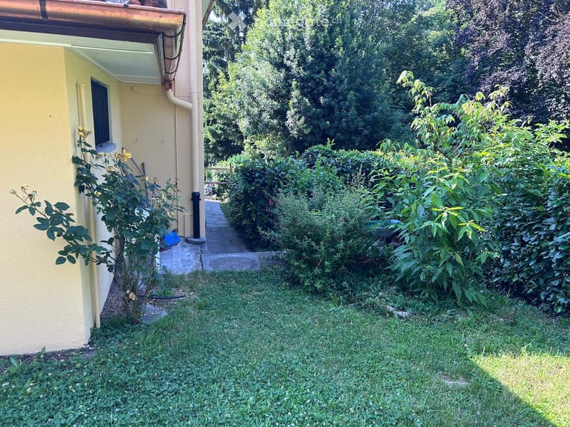 Luminoso 4.5 a Tremona con giardino (2)