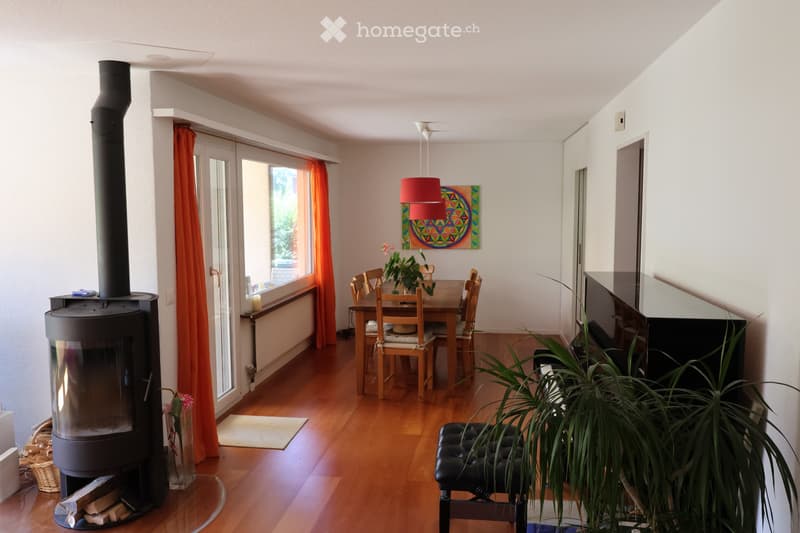Charmantes Doppeleinfamilienhaus (3)