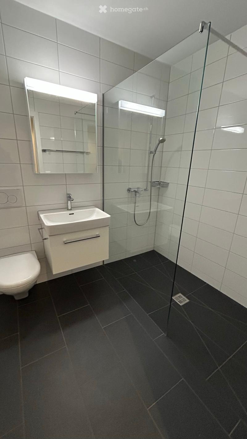 Moderne helle 4.5 Zimmer Wohnung (2)