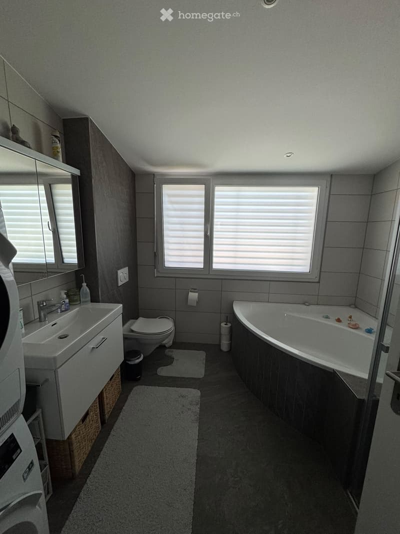 3.5-Zimmer-Dachwohnung in Recherswil ab 01.12.2026 (1)