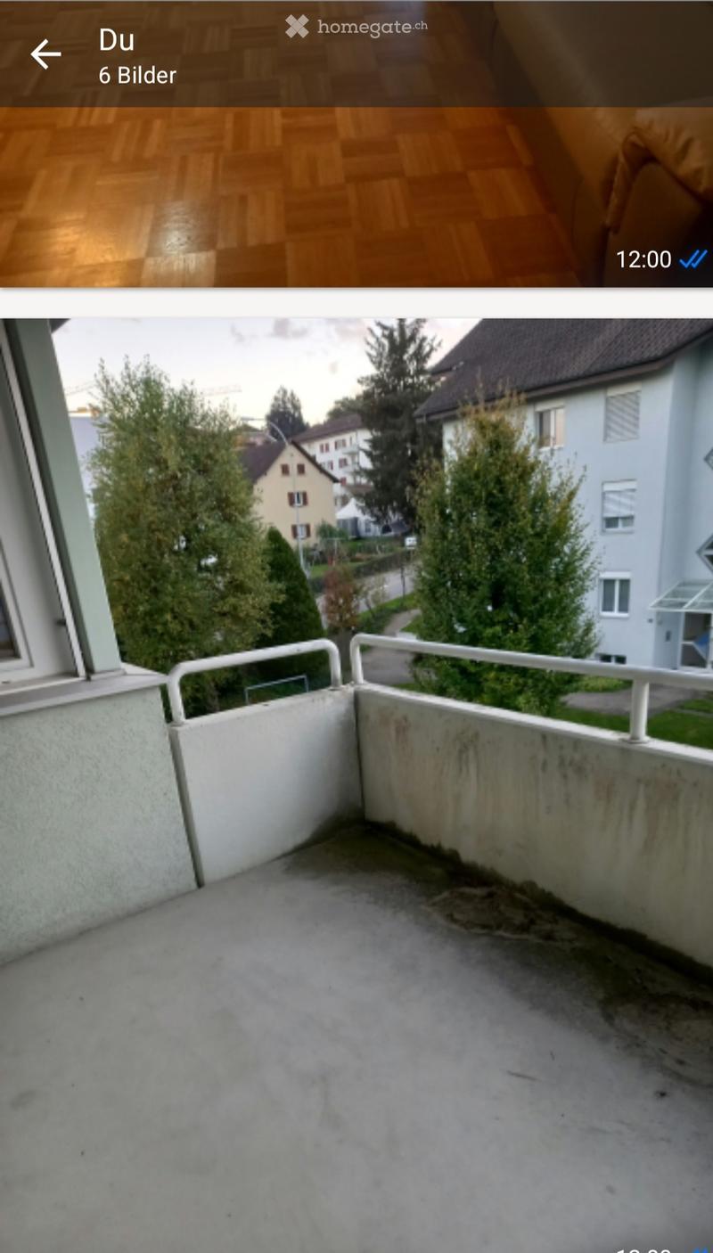 2.5 Zimmer zum Mieten (5)