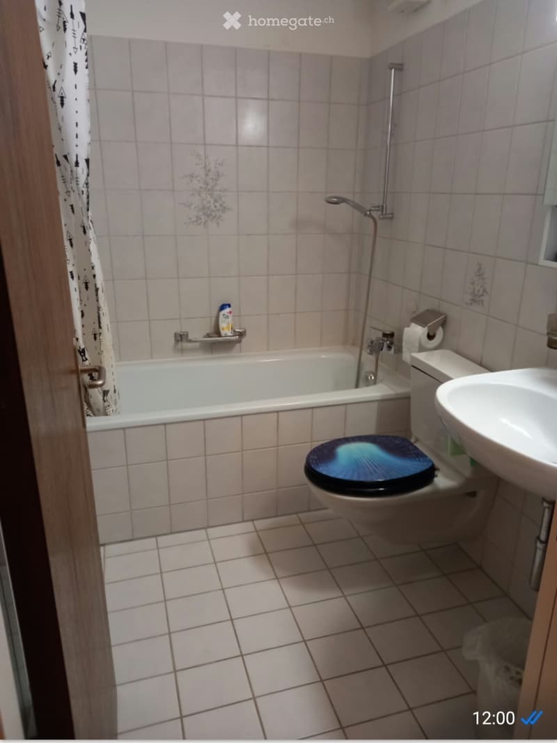 2.5 Zimmer zum Mieten (4)