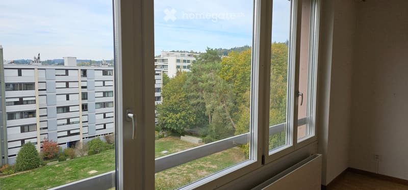 3.5 ehm. 4.5 Zi. 120m2 BW, lichtdurchflutet, ruhig, Attika (5)