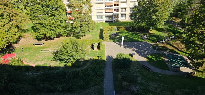 3.5 ehm. 4.5 Zi. 120m2 BW, lichtdurchflutet, ruhig, Attika (10)