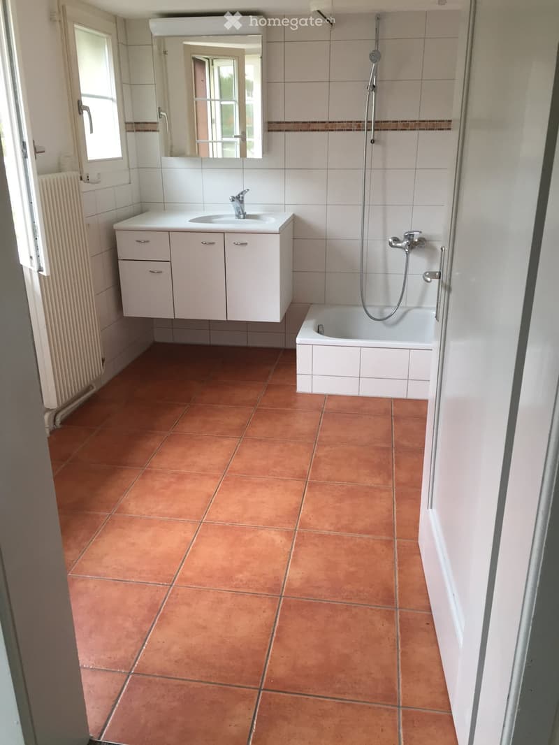 5 1/2-Zimmer-Hausteil, 8465 WILDENSBUCH (Gemeinde Trüllikon) (4)