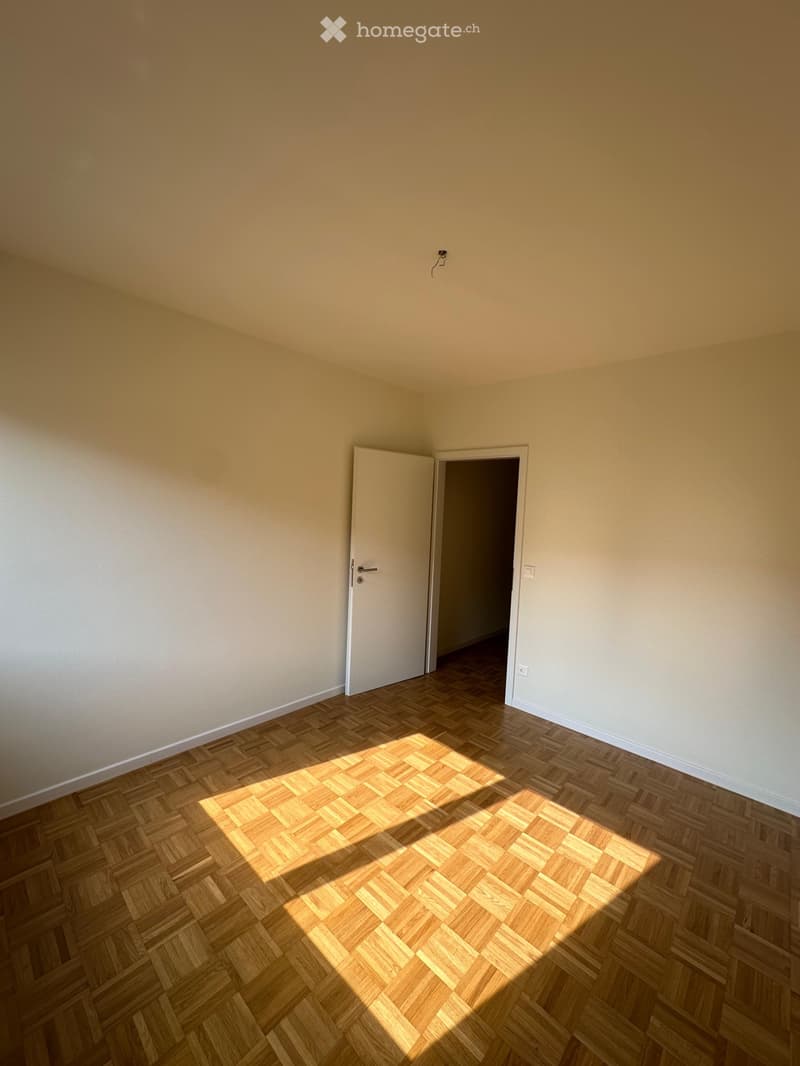 Chiasso zona centro affittasi 3.5 (4)