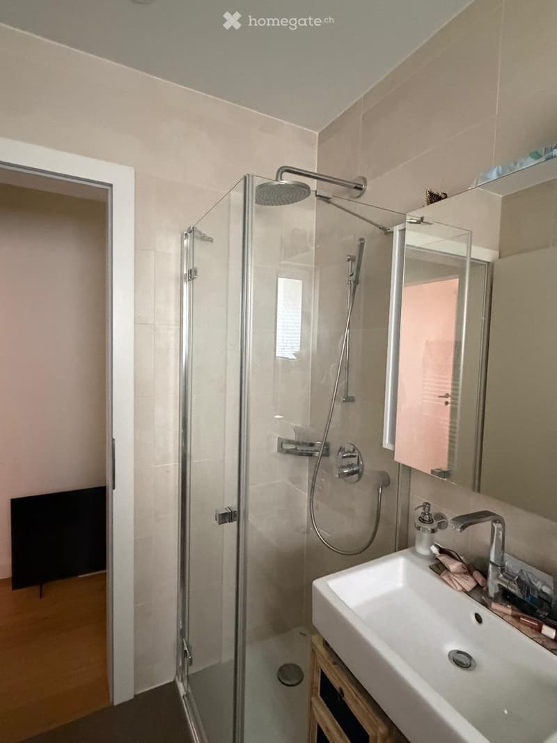 Luxusappartment mit Kellerabteil inkl. WM und Tumbler (3)