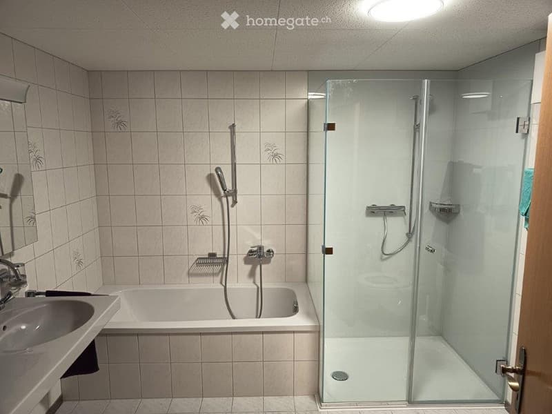 4.5 Zimmer-Wohnung (5)