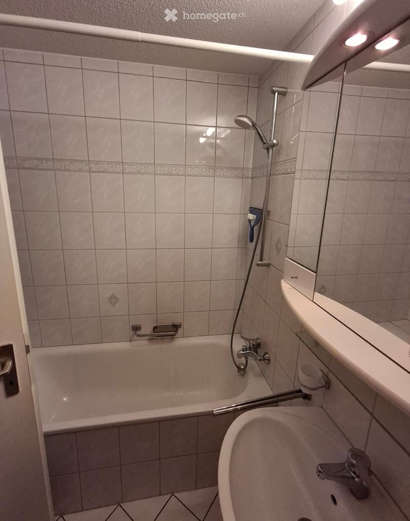 2.5 Zimmer Wohnung in Gailingen (3)