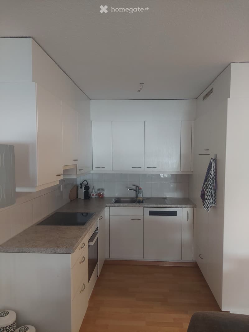 Charmante 3- Zimmerwohnung im Hochparterre (2)