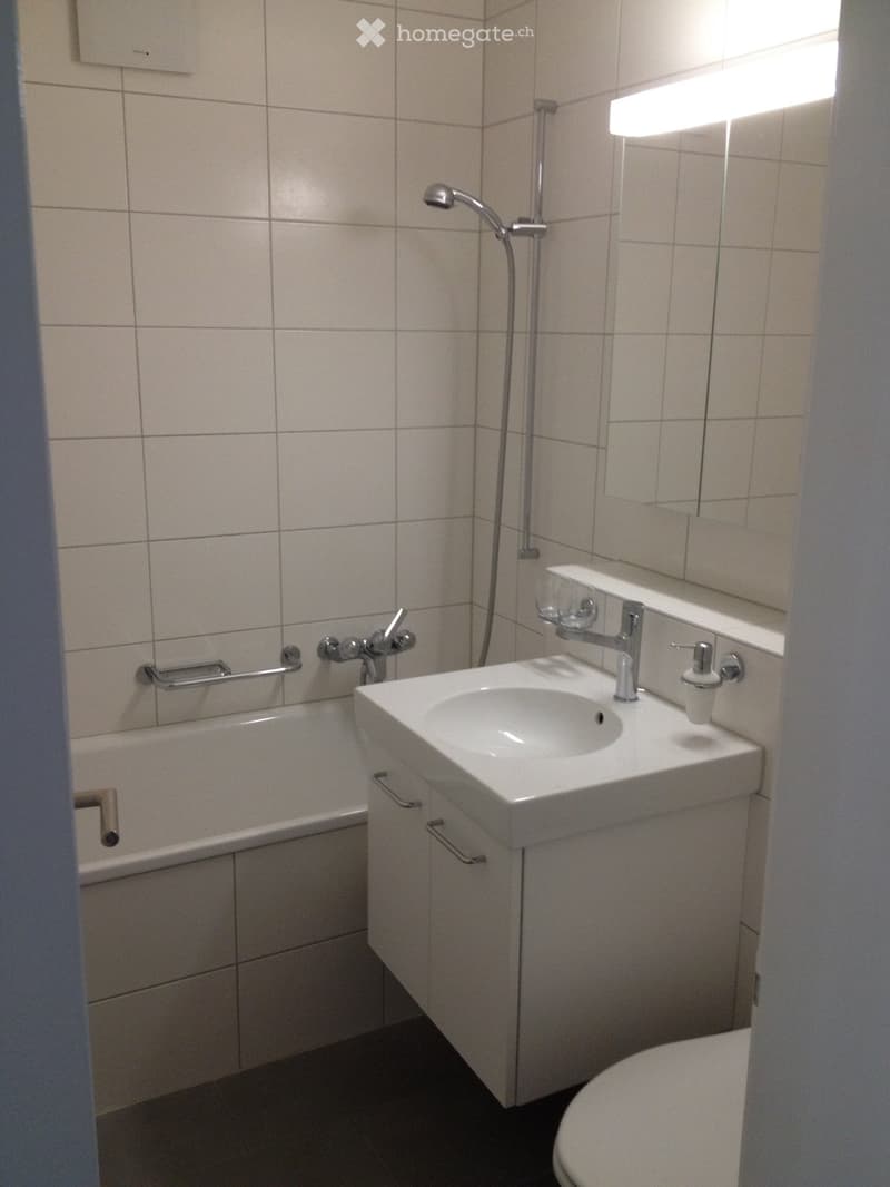 helle und sonnige 3,5-Zi-NR-Dach-Eckwohnung (4)