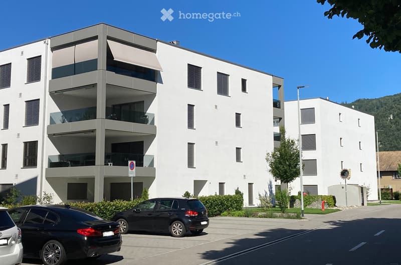 Topmoderne 2.5 Zimmerwohnung (3)