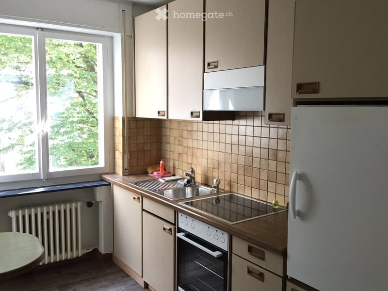 3 Zimmer Wohnung ZH Wiedikon, inkl. Nebenkosten (4)