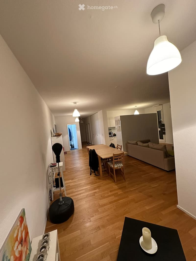 Stanza arredata a Lugano, subentro come terzo coinquilino (2)