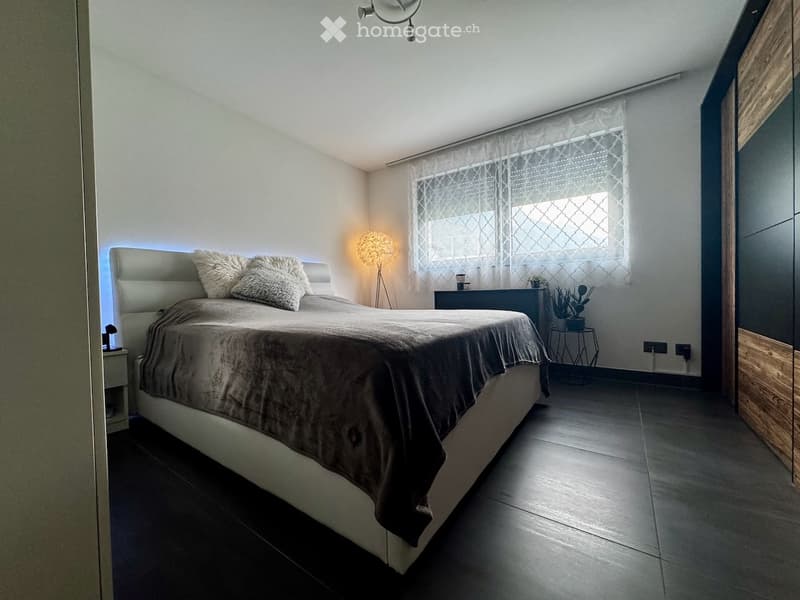 Subentrante per 2.5 a Gnosca (Bellinzona) (3)