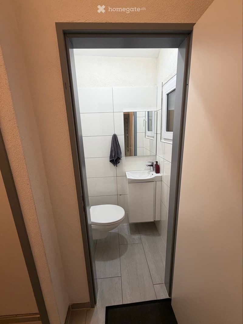 Einfamilienhaus in Wangen bei Olten (4)