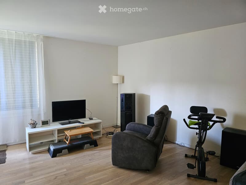 Moderen 2,5 Zimmerwohnung ab 1. Dezember zu vermieten (1)