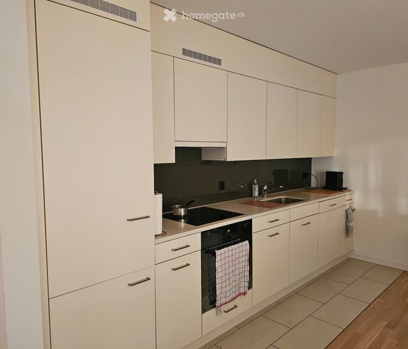 Moderen 2,5 Zimmerwohnung ab 1. Dezember zu vermieten (2)