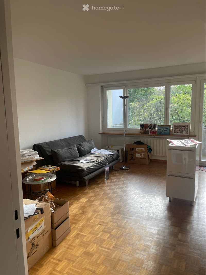 2,5 Zimmer in 3,5 Zimmerwohnung (3)