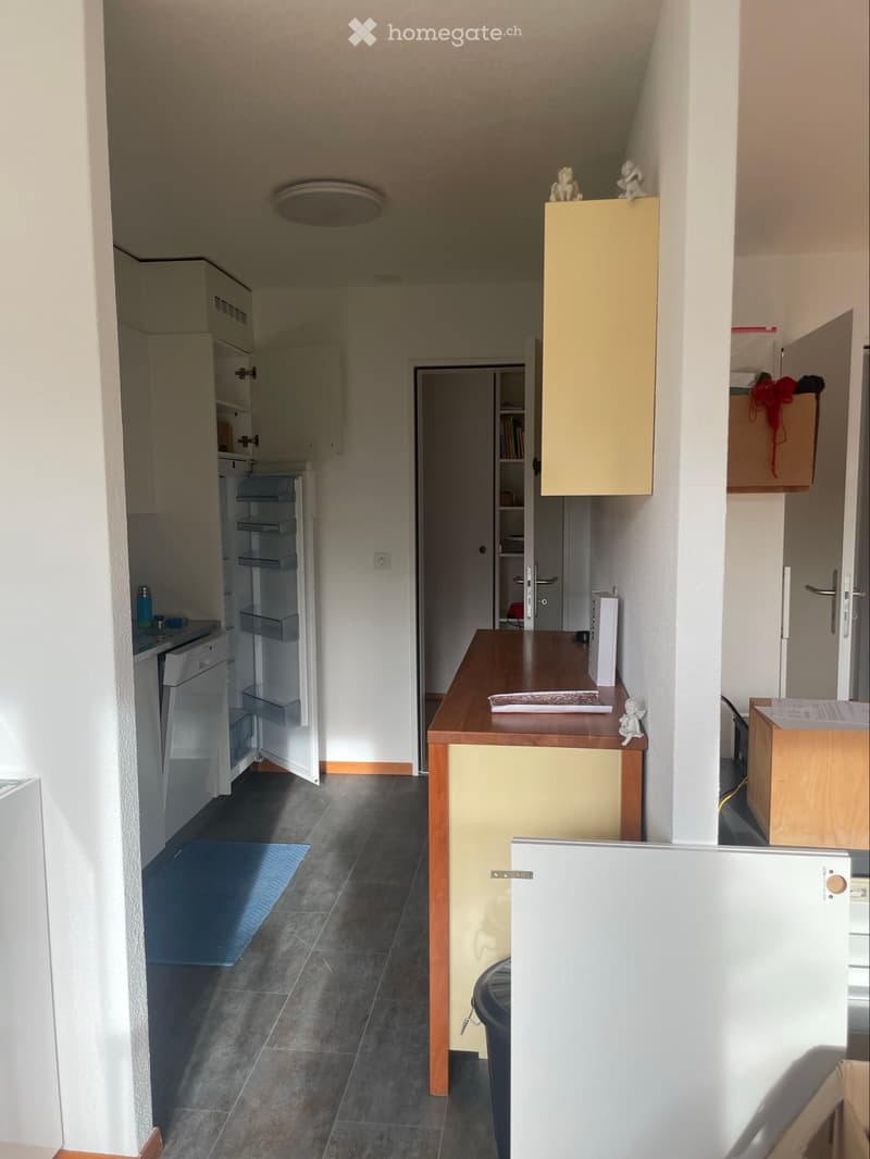 2,5 Zimmer in 3,5 Zimmerwohnung (5)