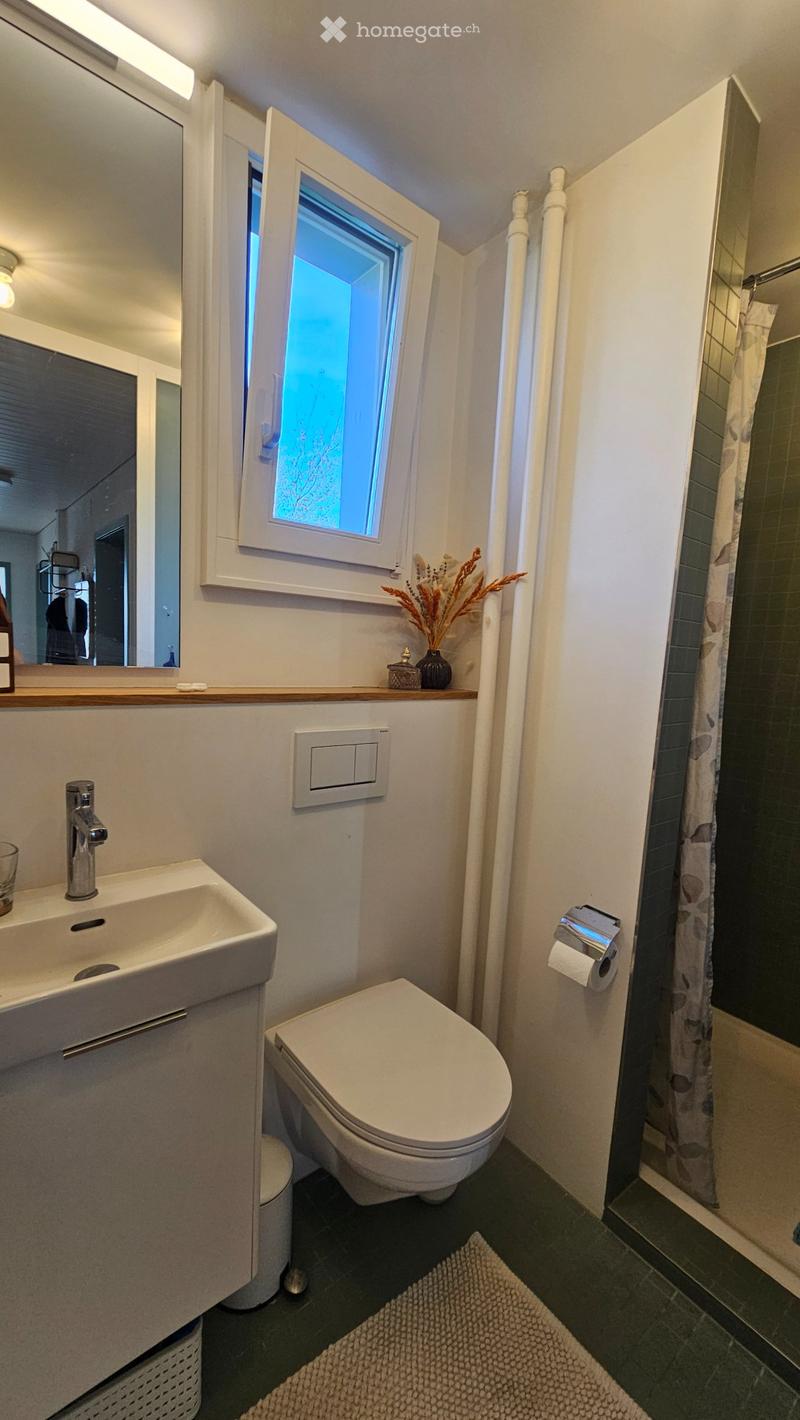 Stilvoll möblierte Wohnung (4)