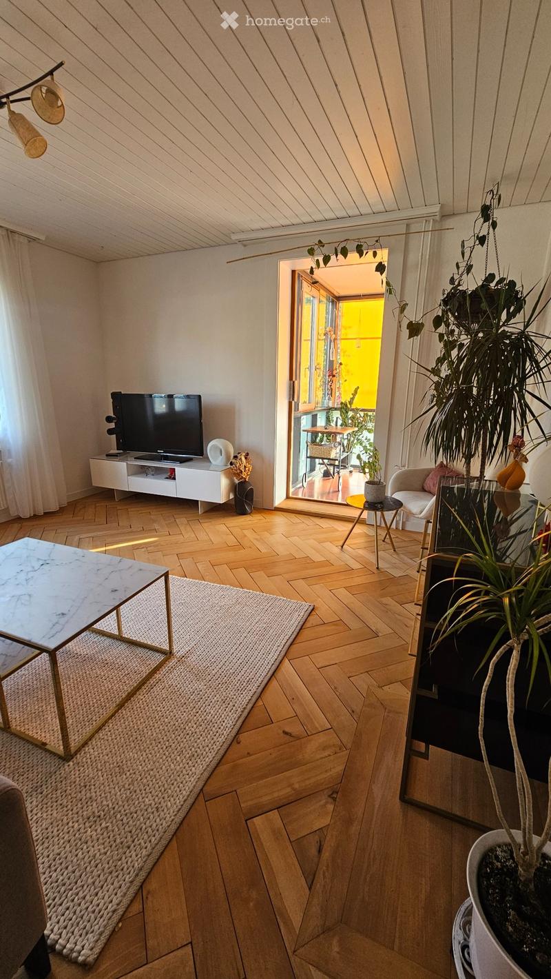 Stilvoll möblierte Wohnung (1)