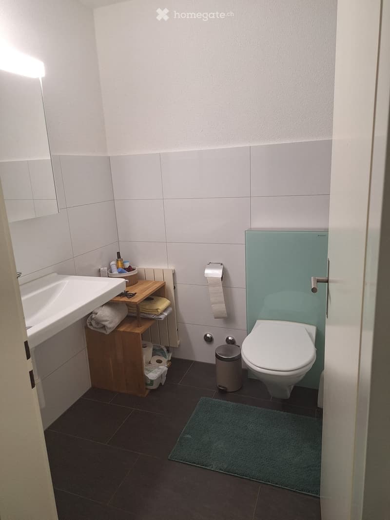 2.5 Zimmer-Wohnung zu vermieten (4)