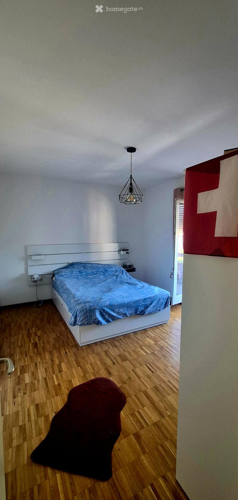 Subentro appartamento arredato 2.5 locali, Massagno (1)