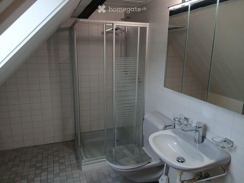 3.5 Zimmer Wohnung (2)